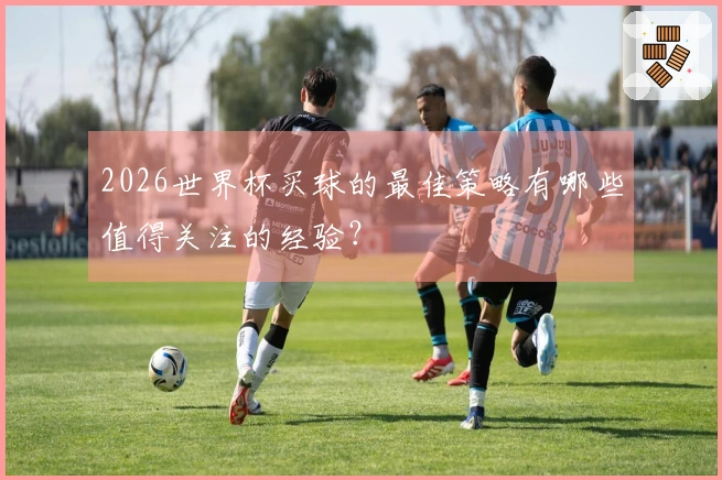 2026世界杯买球的最佳策略有哪些值得关注的经验？
