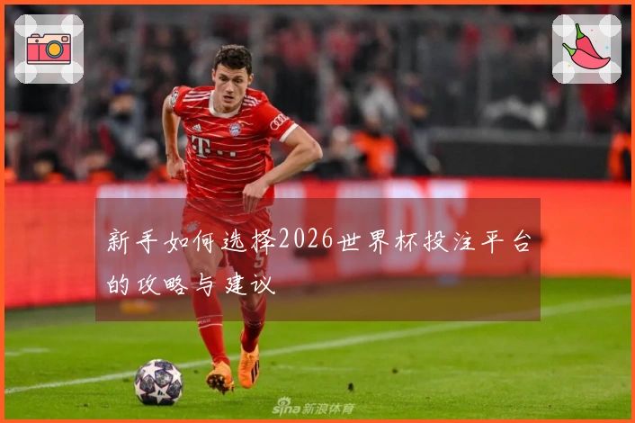 新手如何选择2026世界杯投注平台的攻略与建议