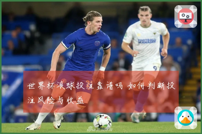 世界杯滚球投注靠谱吗 如何判断投注风险与收益
