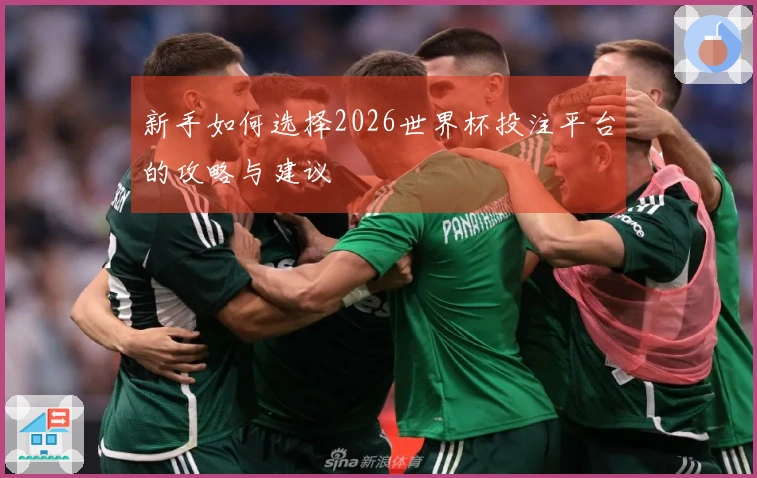 新手如何选择2026世界杯投注平台的攻略与建议