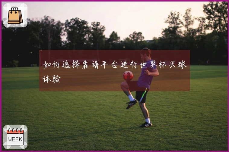 如何选择靠谱平台进行世界杯买球体验