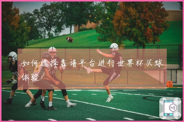 如何选择靠谱平台进行世界杯买球体验